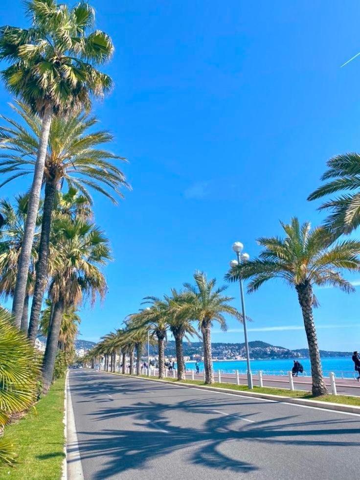 Suite Chic & Cosy, Hyper Centre, Proximite Plage, Nice Centre Buitenkant foto